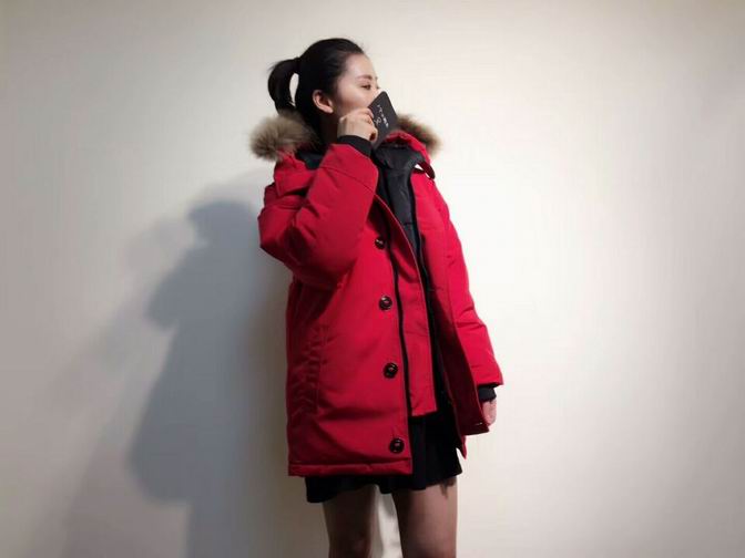 canada goose-013